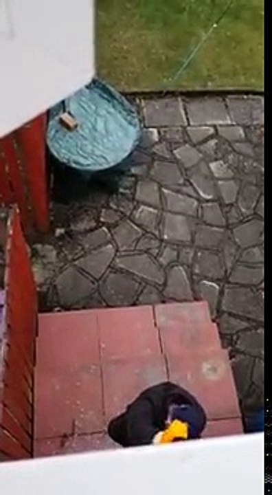 Un cambrioleur se fait filmer par sa victime et se fait arrêter