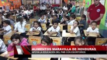 Alimentos Maravilla de Honduras y Natura´s apoyan la educación del país con escritorios
