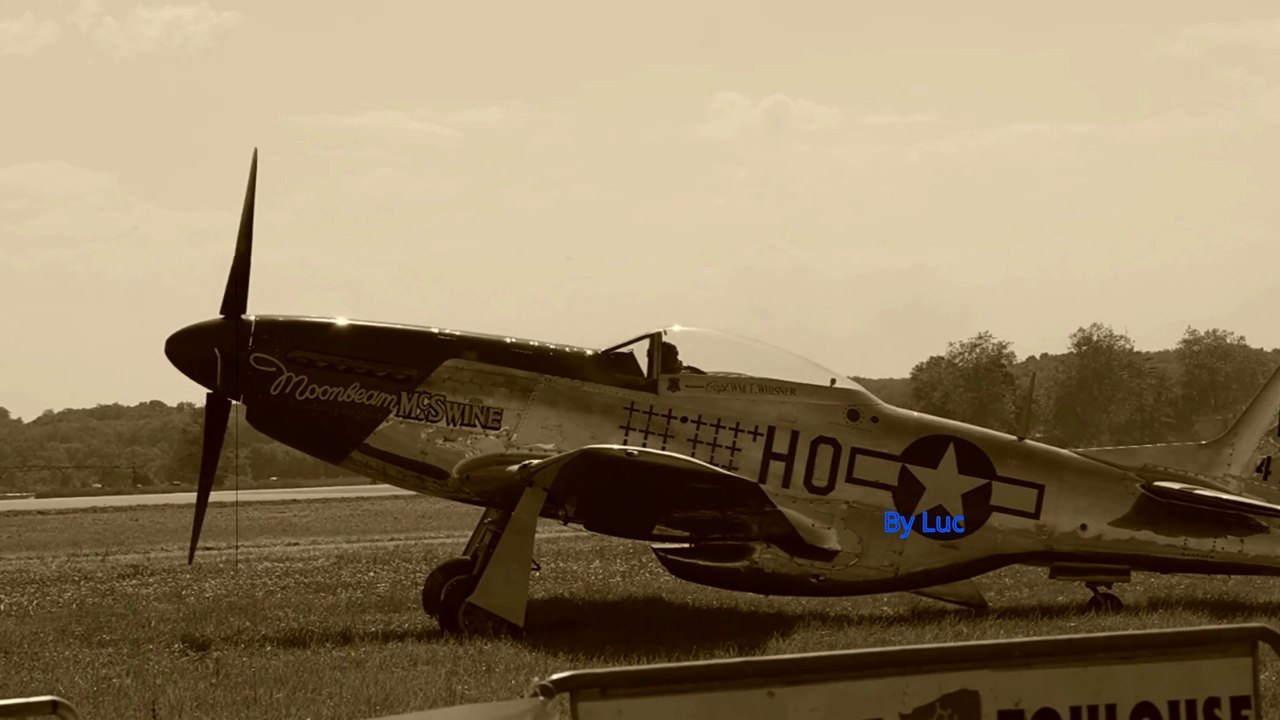 AirExpo -  P-51 Mustang, Airbus, Patrouille de france Meeting Aérien