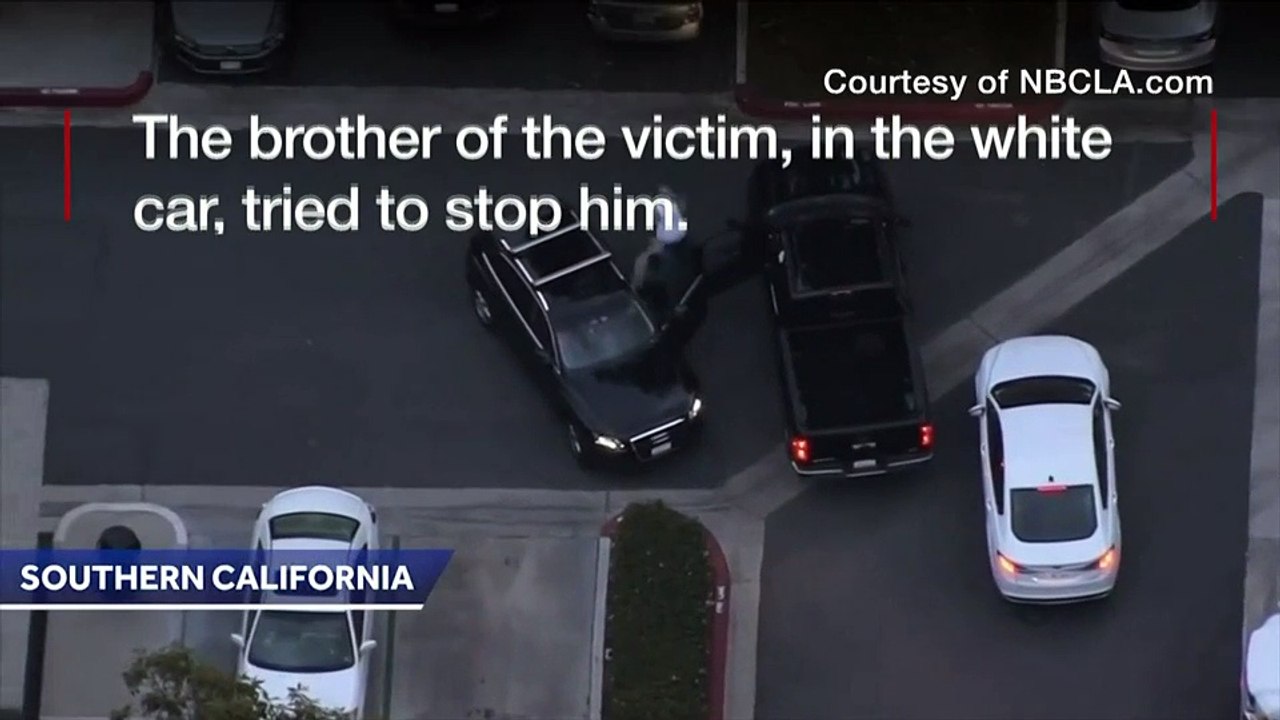 Dog catches carjacker after wild chase