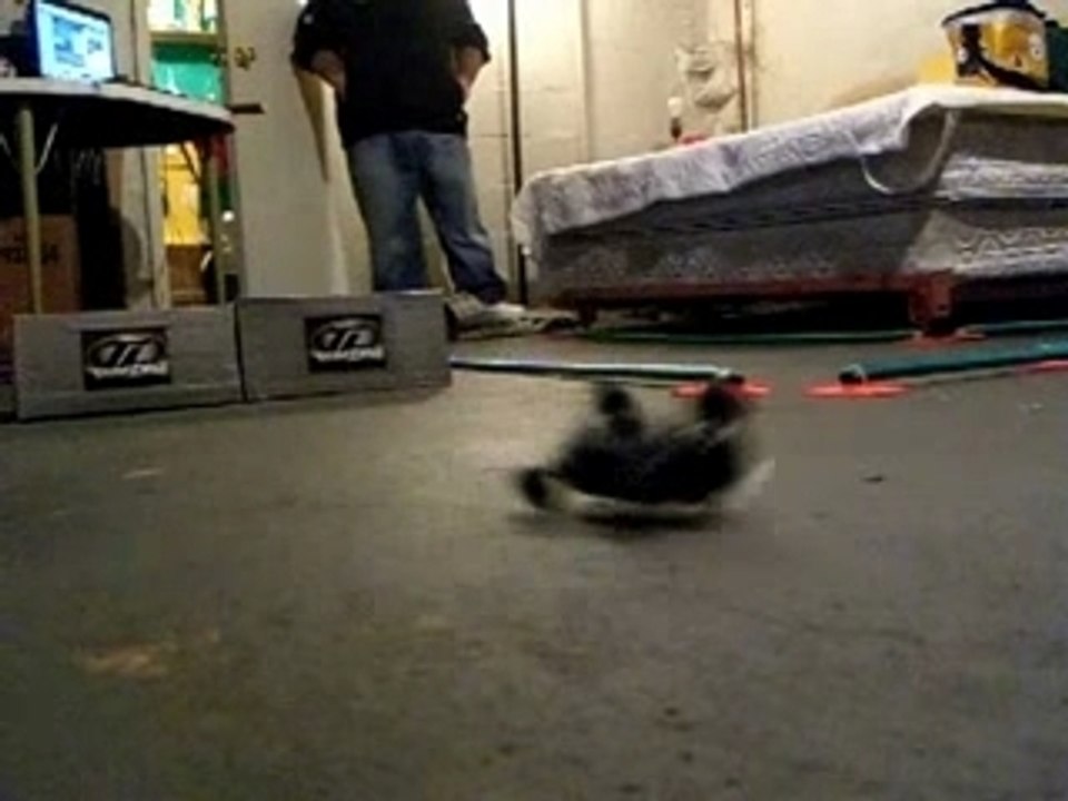 Micro-T basment bashing