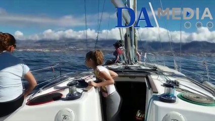Barco grabado en Tenerife "atropellando" ballenas