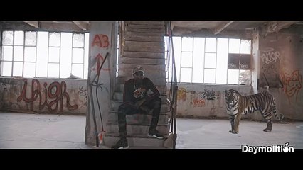 SAF - AMADO (WTTS #2)