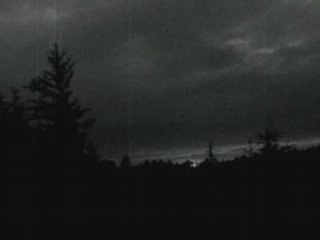 Vinterriket - Verloren in den Tiefen des Waldes