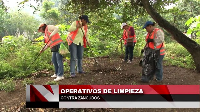 Operativos de limpieza contra zancudos