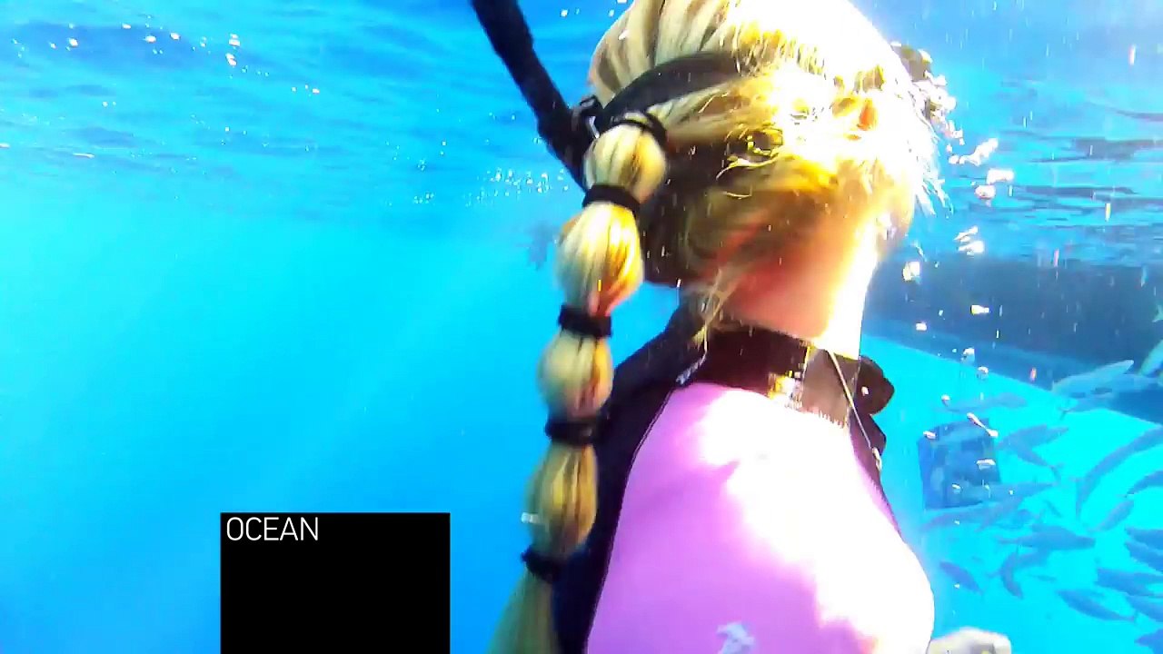 GoPro: Ocean Ramsey and a Great White Shark