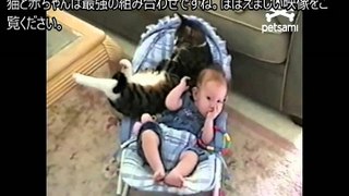 猫と赤ちゃんが仲良しすぎ！ベビーベッドの中でぎゅうぎゅう詰めに！w
