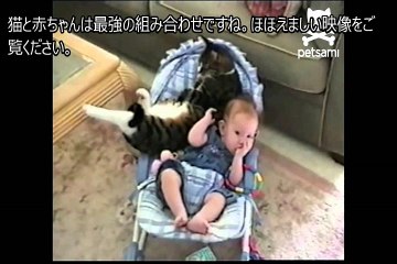 猫と赤ちゃんが仲良しすぎ！ベビーベッドの中でぎゅうぎゅう詰めに！w