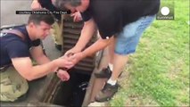 Firefighters rescue ducklings from storm drain, USA
