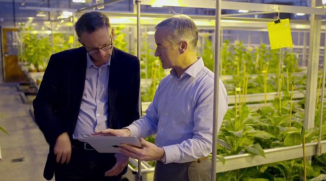 BBC: Horizon - E-Cigarettes: Miracle Or Menace? (Электронные сигареты: чудо или угроза?) [2016]