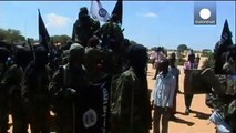 US airstrike targets senior al-Shabab member in Somalia
