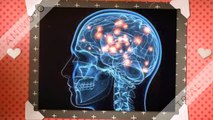Plus IQ Points - Supplies Proper Oxygen To Your Brain Cells