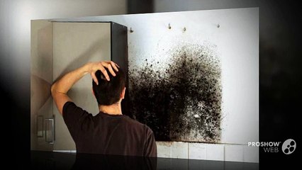 Consequences of Mold Growth in home and Tips for Mold Removal