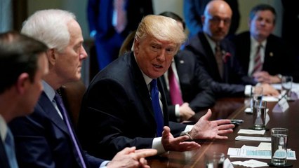 'Stop this nonsense': Trump backs tougher gun laws