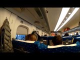 Japanese Shinkansen