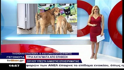 3  κατάγματα σε λαμιώτη επιχειρηματία μετά από επίθεση σκύλου