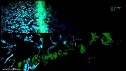 Cuộc Rượt Đuổi Những Bóng Ma Tàu Ngầm Bí Ẩn - Thiên nhiên hoang dã full hd Thuyết Minh