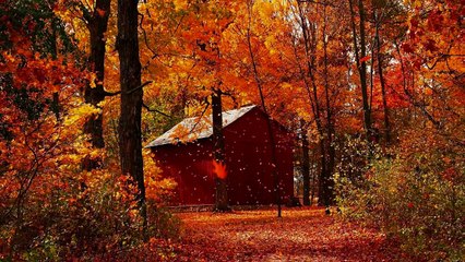 Relaxing Chillout - Dreaming ( Music by Zulqarnain )