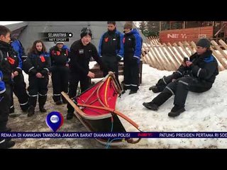 Serunya Dog Sleding Di Kutub Utara  NET 12