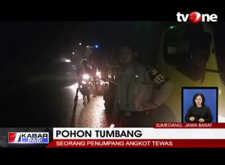 Pohon Tumbang Timpa Angkot Tewaskan Seorang Anak
