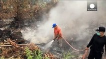 Wildfires again make air in Indonesia unbreathable