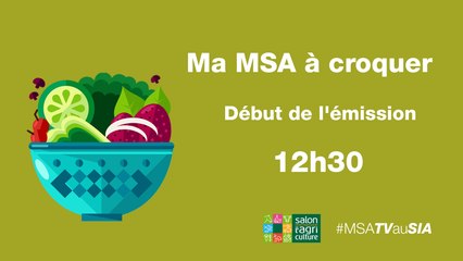 Ma MSA a croquer - l'aquaponie