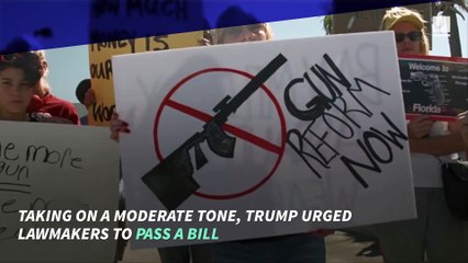 Trump Calls Out Republican Lawmakers Over Gun Reforms
