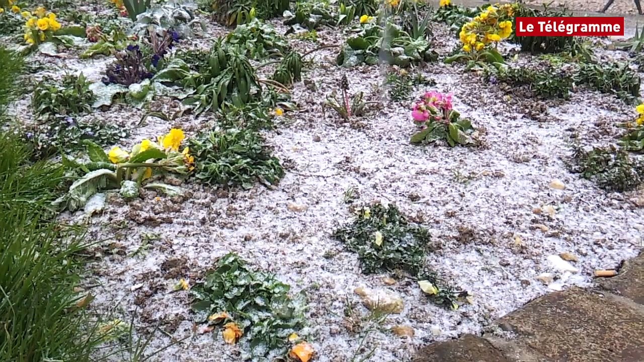 Brest. Les flocons tombent sur la ville