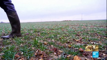Portrait d''agriculteurs reconvertis dans la vente-directe
