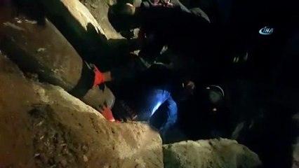 Sondaj kuyusuna düşen yavru köpek 10 saatlik çalışma sonucu kurtarıldı