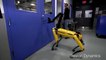 Boston Dynamics' Robot vs. Human