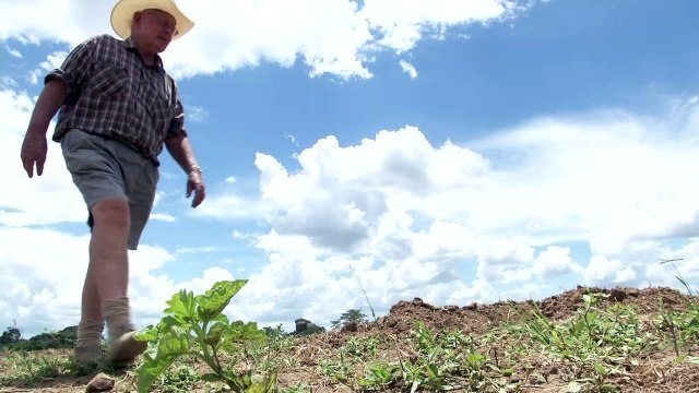 A seized Zimbabwe farm is returned, but uncertainty reigns