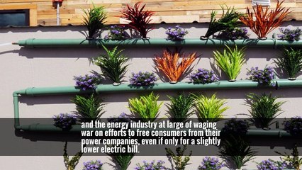 Putting Green in the Tea Party, She Crusades for Clean Power