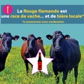 5 choses à savoir sur l'agriculture du Nord