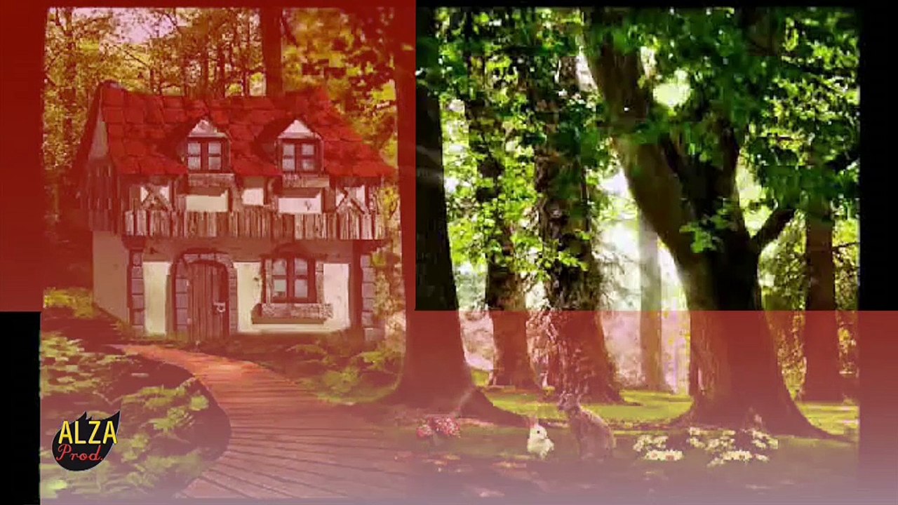 Le Chaperon Rouge (avec des vrais animaux)