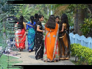 Kolkata Celebrating Valentine Day