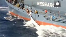 Japan hopes to resume whaling at the end of the year
