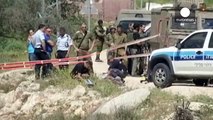 Palestinian shot dead after stabbing two Israeli soldiers in West Bank