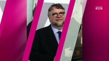 Oscars 2018 : Guillermo del Toro favori mais plagieur ?