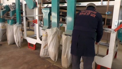 Devlet desteğiyle yem fabrikası kurdu