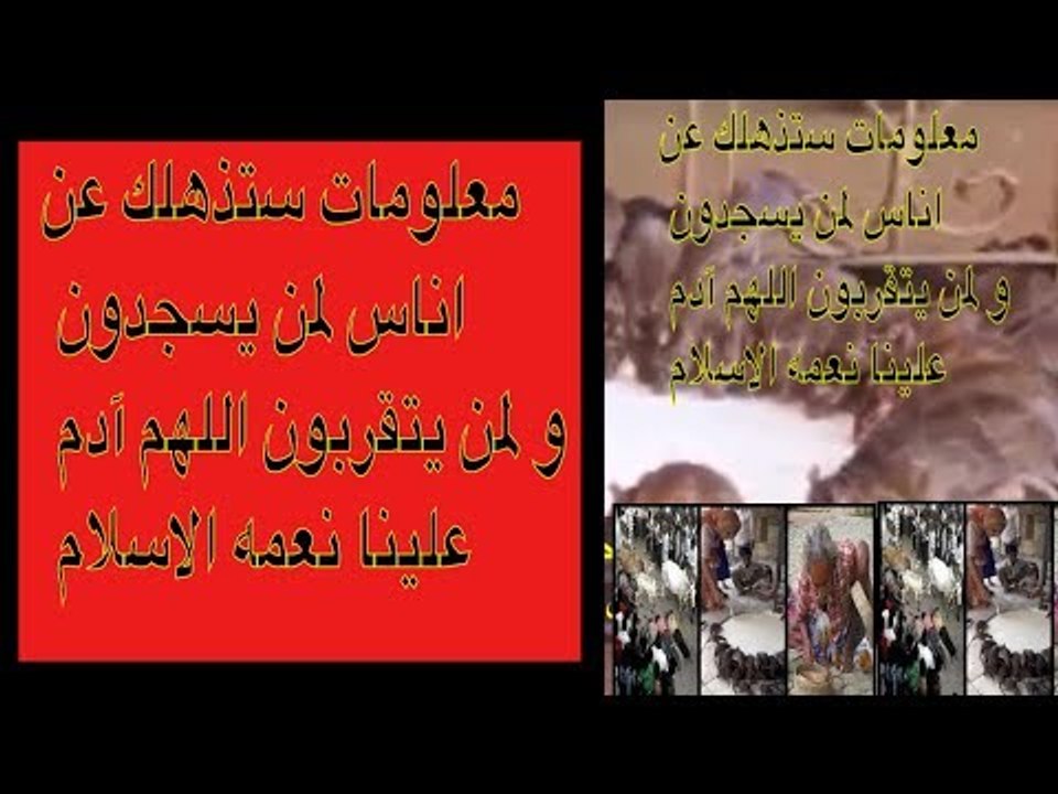 معلومات ستذهلك عن اناس لمن يسجدون و لمن يتقربون اللهم آدم علينا نعمه الاسلام