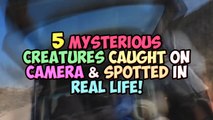 5 Mysterious Creatures Caught On Camera & Spotted In Real Life!