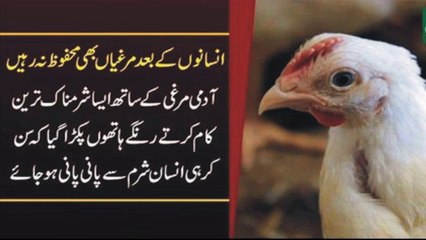 انسانوں کے بعد اب مرغیاں بھی محفوظ نہ رہیں