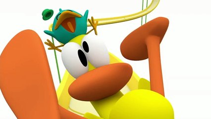 Pocoyo - The Best Moments of Baby Bird!
