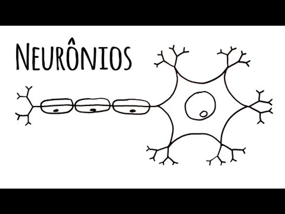 Neurônios