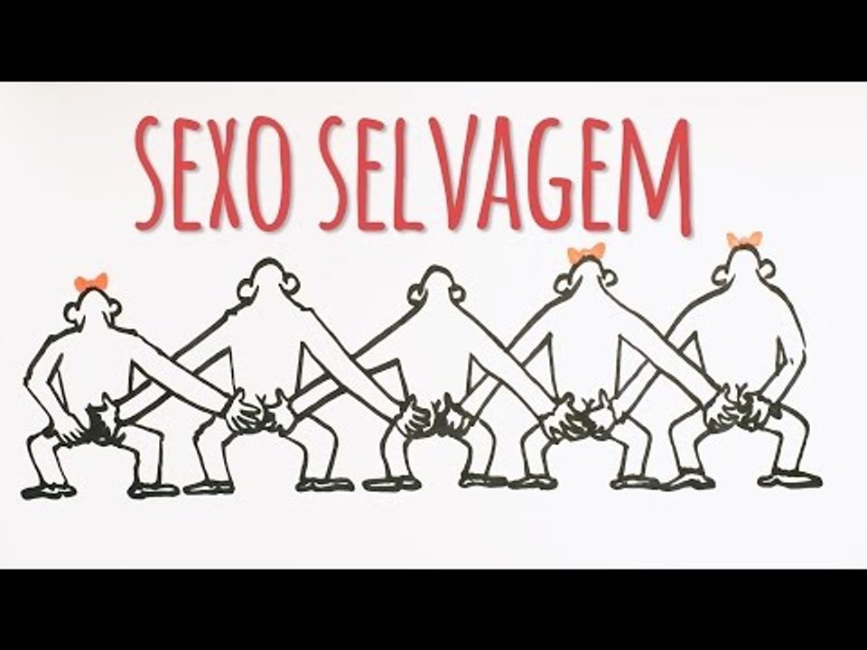 Sexo selvagem