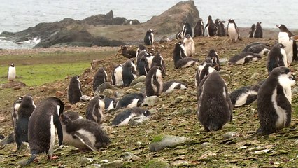 La Antártida, laboratorio del cambio climático