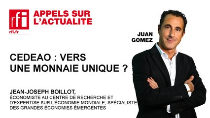 CEDEAO : vers une monnaie unique ?