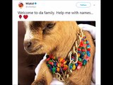 Wizkid Buys A Baby GOAT And Signs It To Starboy As His PET