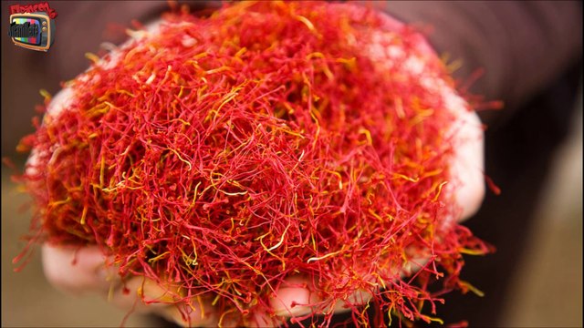 TOP 12 ALIMENTOS MÁS CAROS DEL MUNDO | ALIMENTOS QUE NO CREERÁS QUE EXISTEN